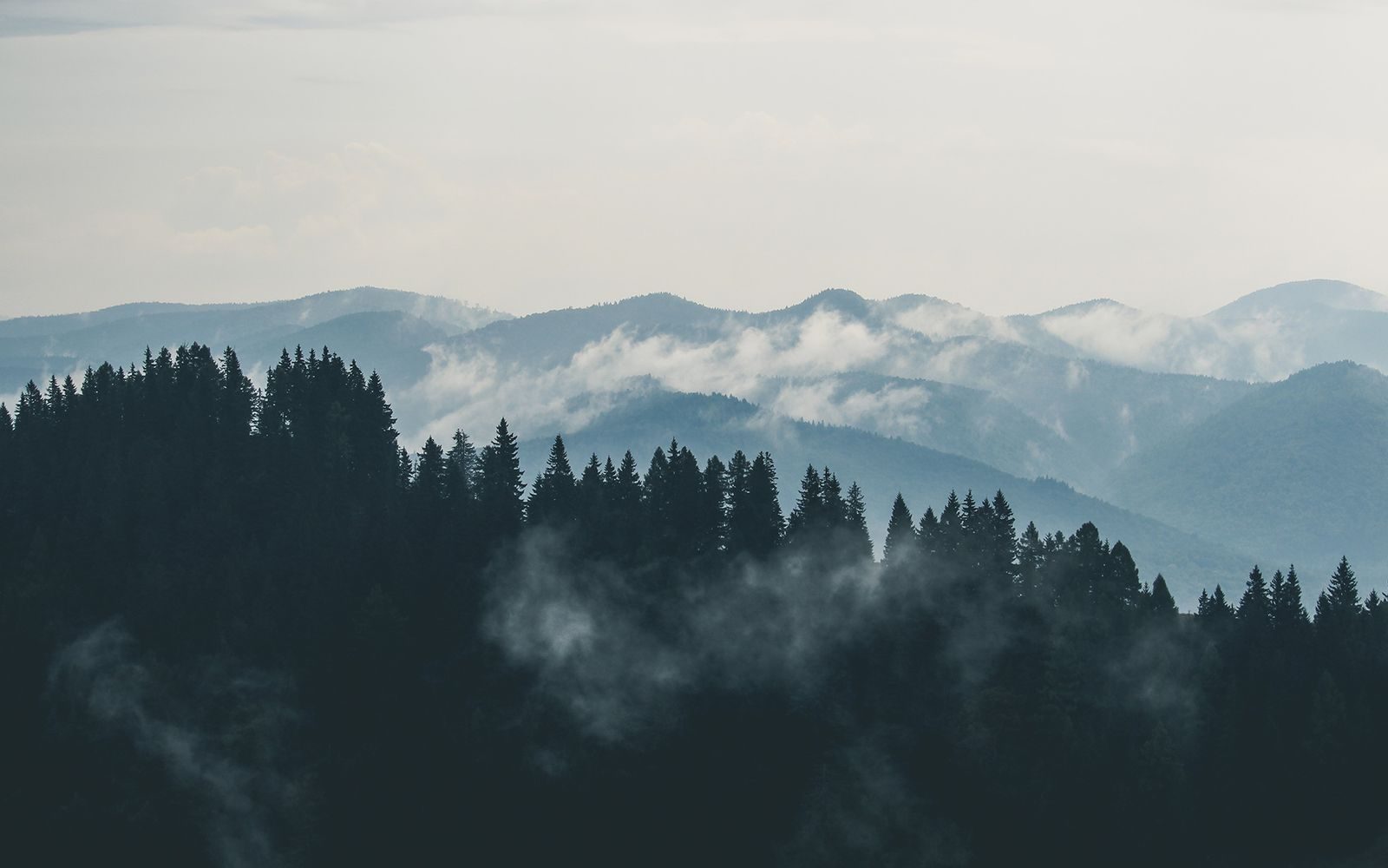 Misty layered forest ridges, a calm horizon